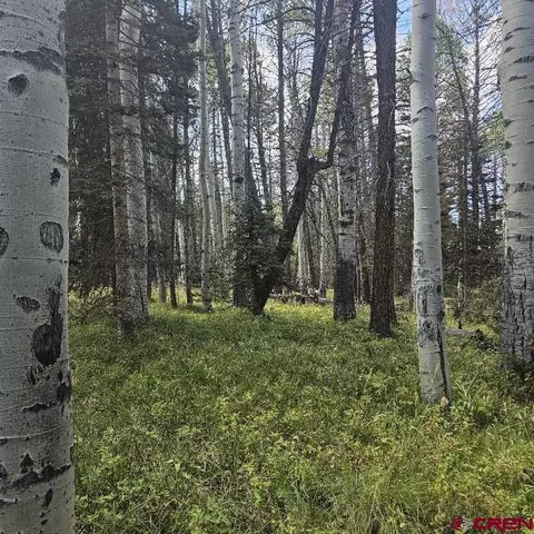 155 Aspen Trl, Cimarron, CO 81220 photo 6