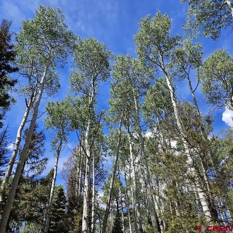 155 Aspen Trl, Cimarron, CO 81220 photo 11