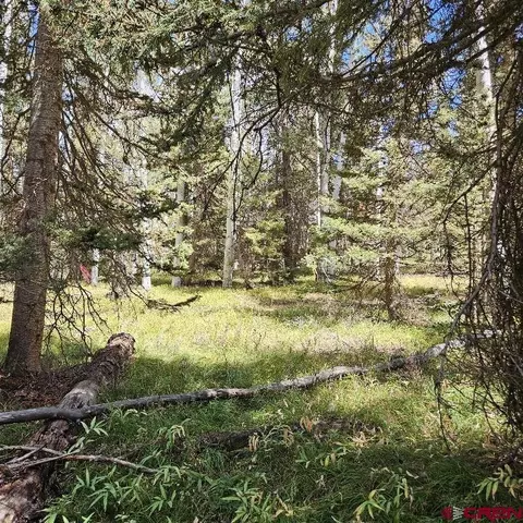 155 Aspen Trl, Cimarron, CO 81220 photo 7