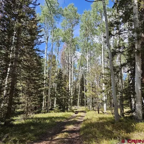 155 Aspen Trl, Cimarron, CO 81220 photo 8