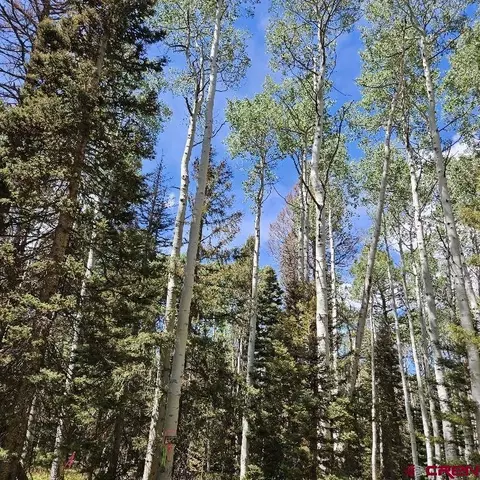155 Aspen Trl, Cimarron, CO 81220 photo 10