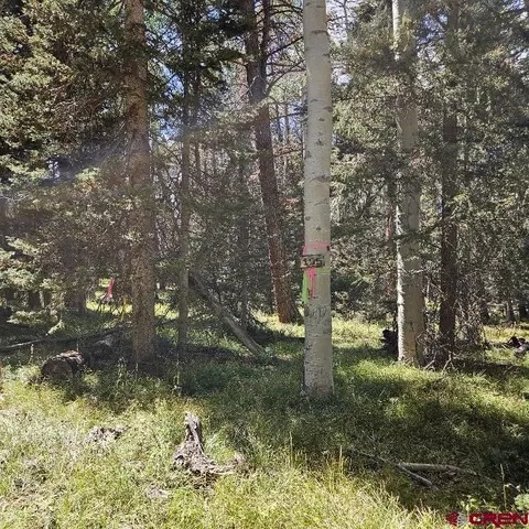 155 Aspen Trl, Cimarron, CO 81220 photo 3