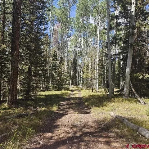 155 Aspen Trl, Cimarron, CO 81220 photo 2