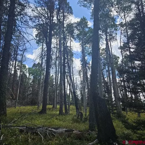 155 Aspen Trl, Cimarron, CO 81220 photo 5