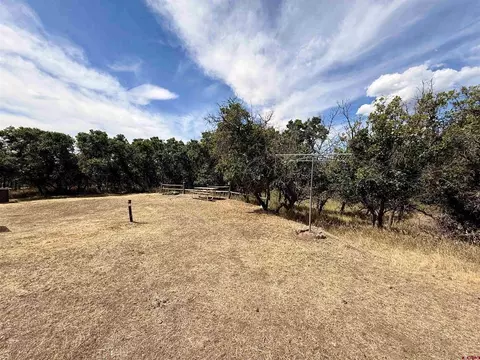 Exterior - 20495 2300 Rd, Cedaredge, CO 81413 photo 8 of 8
