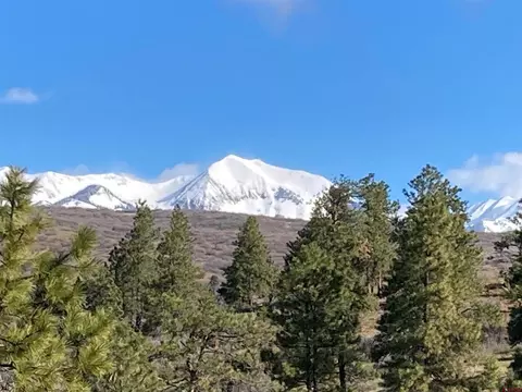 1649 Sheep Springs Rd, Durango, CO 81301 photo 8