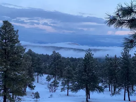 1649 Sheep Springs Rd, Durango, CO 81301 photo 15