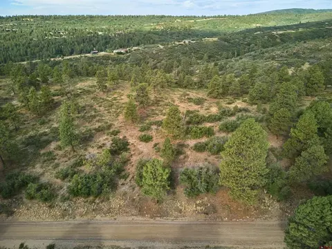1649 Sheep Springs Rd, Durango, CO 81301 photo 4