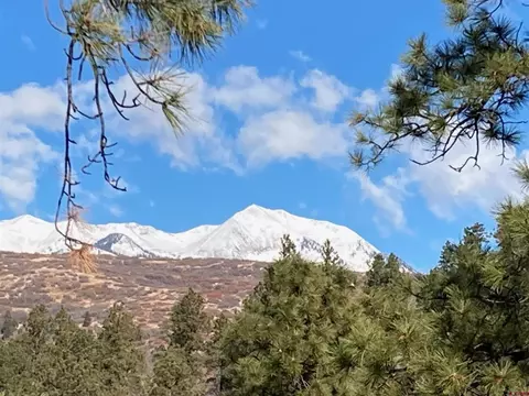 1649 Sheep Springs Rd, Durango, CO 81301 photo 10