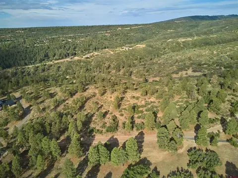 1649 Sheep Springs Rd, Durango, CO 81301 photo 3