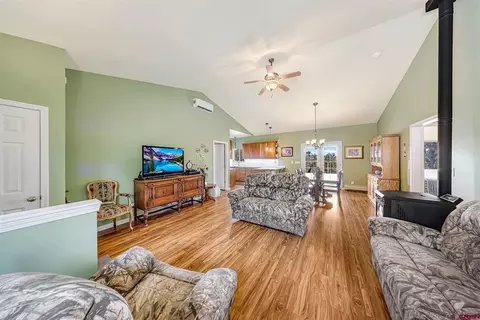 Living - 21166 Rustic Rd, Cedaredge, CO 81413 photo 3 of 4