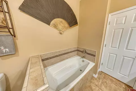 Bath - 21166 Rustic Rd, Cedaredge, CO 81413 photo 2 of 3