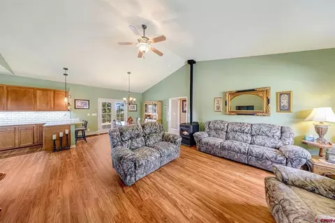 Living - 21166 Rustic Rd, Cedaredge, CO 81413 photo 4 of 4