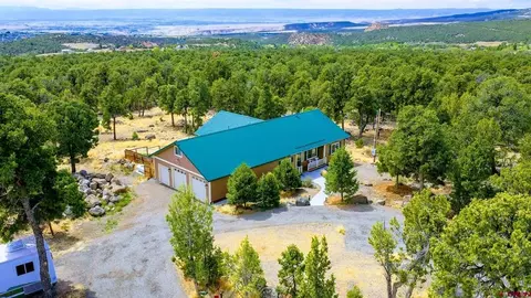 Other - 21166 Rustic Rd, Cedaredge, CO 81413 photo 4 of 11