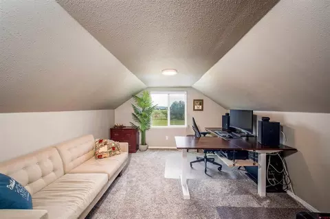 Other - 573 Florida Meadows Ln, Durango, CO 81303 photo 3 of 7