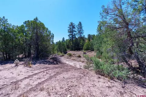 tbd Budd Rd, Durango, CO 81303 photo 14