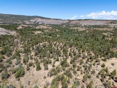 tbd Budd Rd, Durango, CO 81303 photo 4