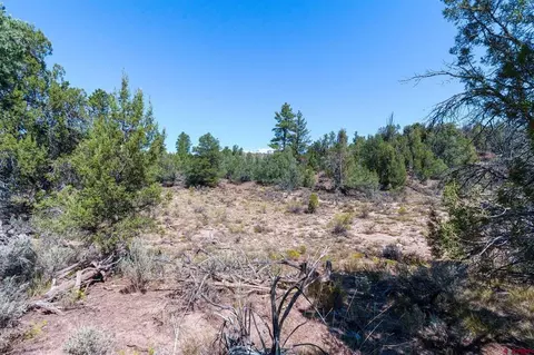 tbd Budd Rd, Durango, CO 81303 photo 15