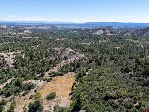 tbd Budd Rd, Durango, CO 81303 photo 10