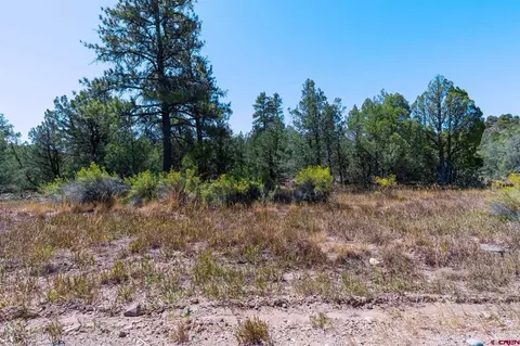 tbd Budd Rd, Durango, CO 81303 photo 16