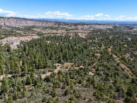tbd Budd Rd, Durango, CO 81303 photo 8