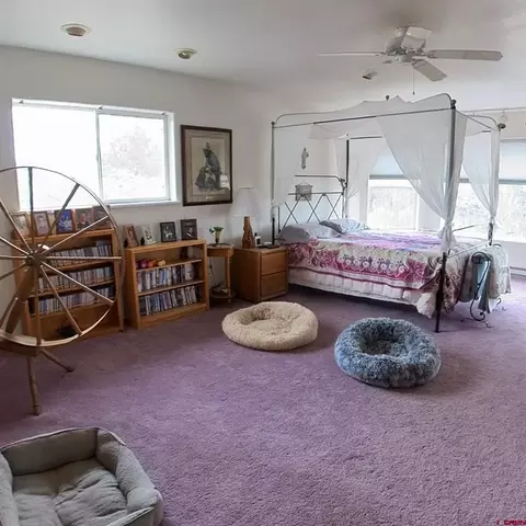 Bedroom - 16709 Cedar Ln, Cedaredge, CO 81413 photo 1 of 5