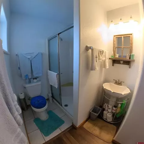 Bath - 16709 Cedar Ln, Cedaredge, CO 81413 photo 3 of 3
