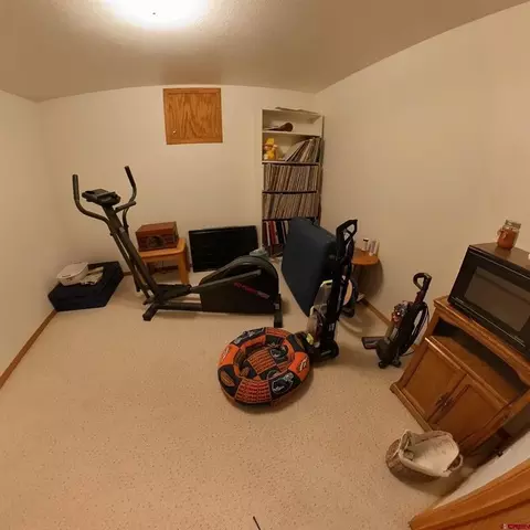 Other - 16709 Cedar Ln, Cedaredge, CO 81413 photo 10 of 16