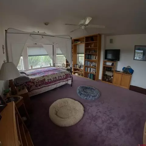 Bedroom - 16709 Cedar Ln, Cedaredge, CO 81413 photo 2 of 5