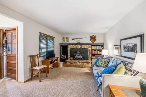 Living - 13435 Hwy 65 Rd, Eckert, CO 81418 photo 3 of 4