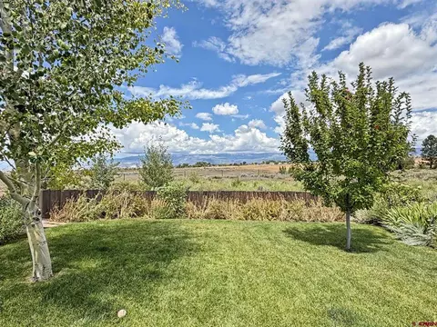 Exterior - 15195 2600 Rd, Cedaredge, CO 81413 photo 16 of 17