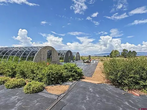 Other - 15195 2600 Rd, Cedaredge, CO 81413 photo 13 of 16