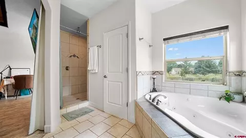 Bath - 1490 SE Fairway Dr, Cedaredge, CO 81413 photo 3 of 5