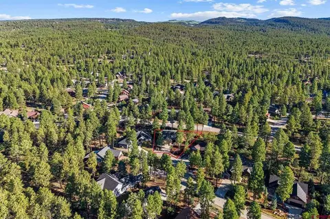 View/Area - 118 Big Bend Ct, Durango, CO 81301 photo 5 of 6