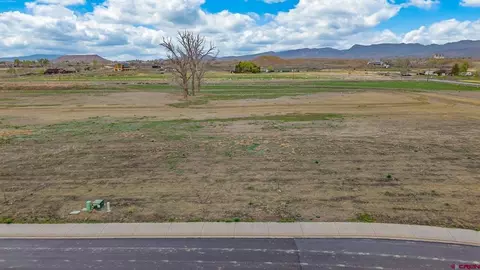tbd Lot 17 Apple Grove St, Montrose, CO 81401
