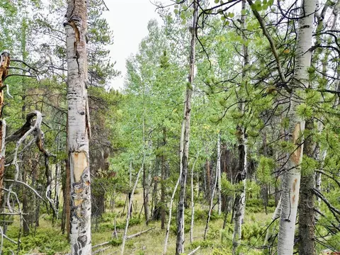 tbd N Pond Rd, Pitkin, CO 81241 photo 12