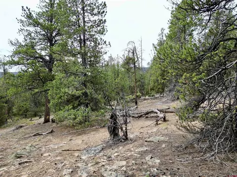 tbd N Pond Rd, Pitkin, CO 81241 photo 4