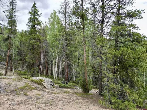 tbd N Pond Rd, Pitkin, CO 81241 photo 13