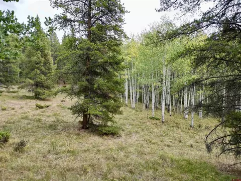 tbd N Pond Rd, Pitkin, CO 81241 photo 11