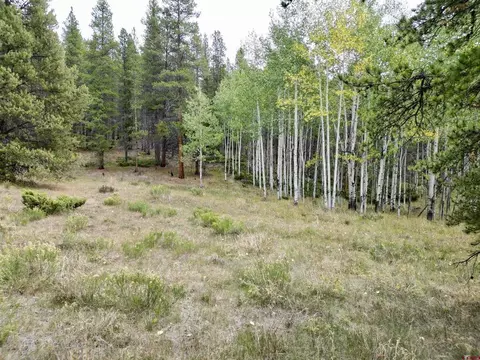 tbd N Pond Rd, Pitkin, CO 81241 photo 9