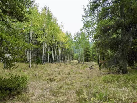 tbd N Pond Rd, Pitkin, CO 81241 photo 7
