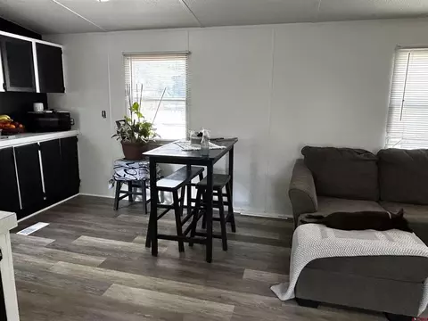 Other - 7 Golden West Dr, Durango, CO 81301 photo 5 of 5