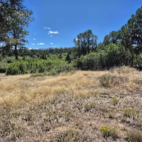 1620 Wildcat Canyon Rd, Montrose, CO 81403