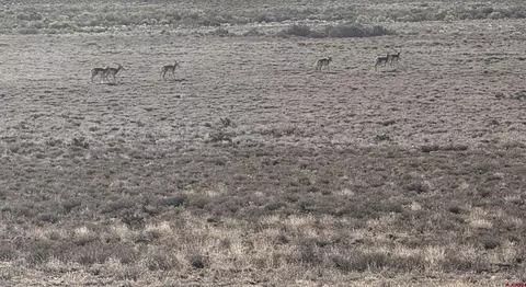 tbd County Road E5, Antonito, CO 81120 photo 7