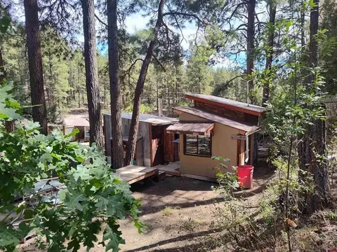 668 Raccoon Dr, Pagosa Springs, CO 81147