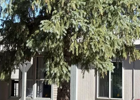 100 Homestead Dr, Pagosa Springs, CO 81147