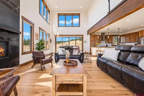 Living - 701 County Road 125, Durango, CO 81301 photo 2 of 3