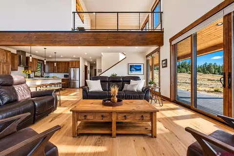 Living - 701 County Road 125, Durango, CO 81301 photo 3 of 3
