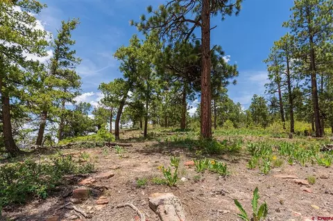 3111 Durango Cliffs Dr, Durango, CO 81301 photo 28