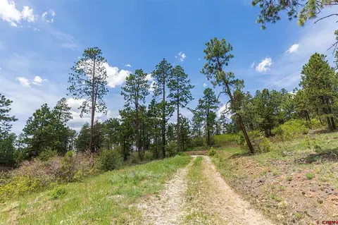 3111 Durango Cliffs Dr, Durango, CO 81301 photo 9